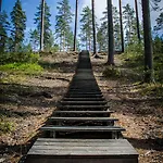 Ahvenlampi Saarijärvi