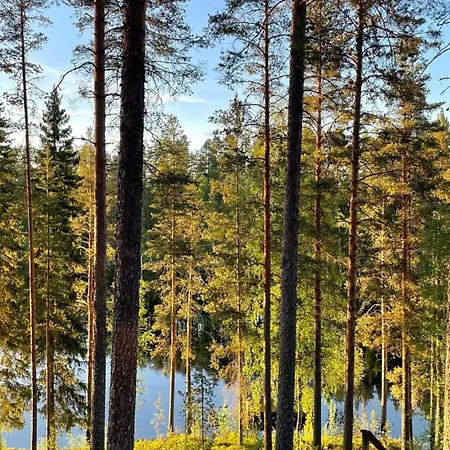 Kamp alanı Ahvenlampi 4*