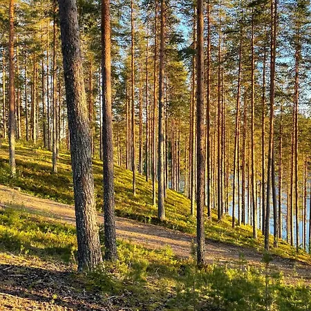 Kamp alanı Ahvenlampi Saarijärvi