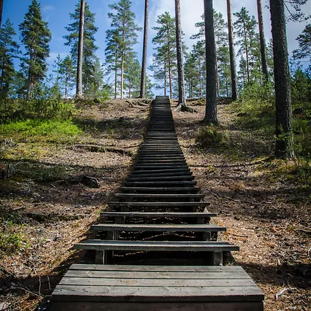 Ahvenlampi Saarijärvi