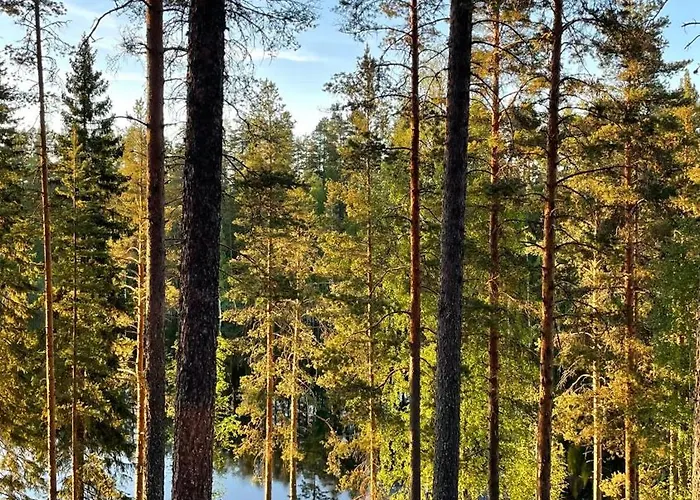 Camping Ahvenlampi 4*