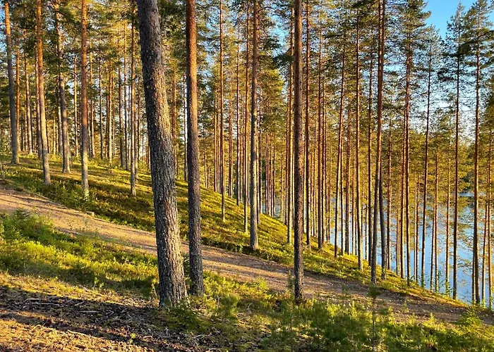 Camping Ahvenlampi Saarijärvi