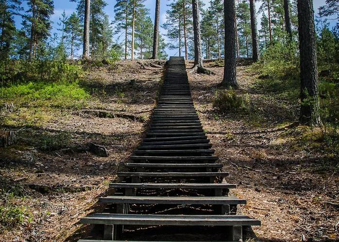 Ahvenlampi Saarijärvi